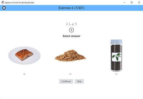 Japanese Visual Vocabulary Builder